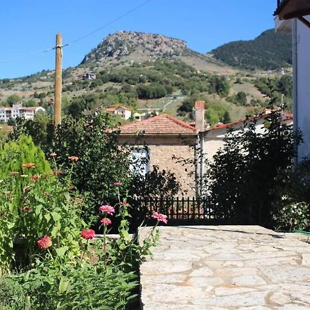 Velia Guesthouse Kalavryta Exteriör bild