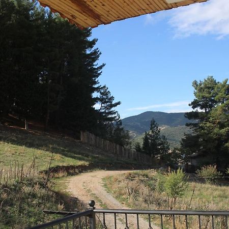 Velia Guesthouse Kalavryta Exteriör bild