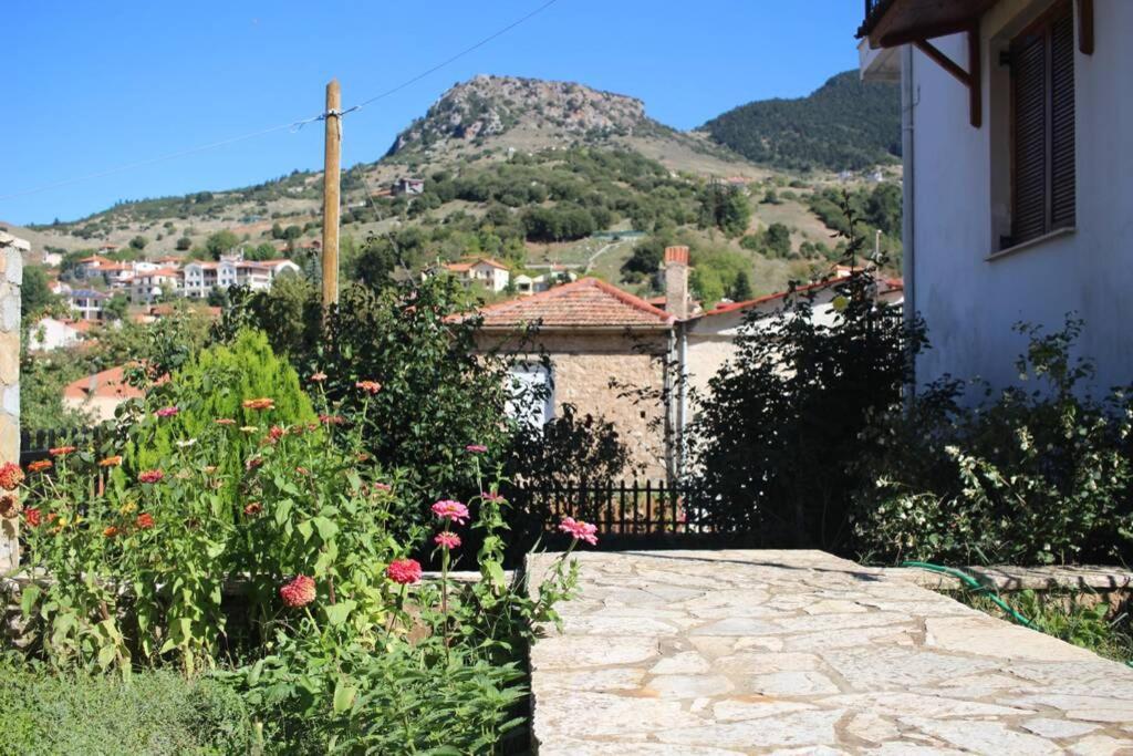 Velia Guesthouse Kalavryta Exteriör bild