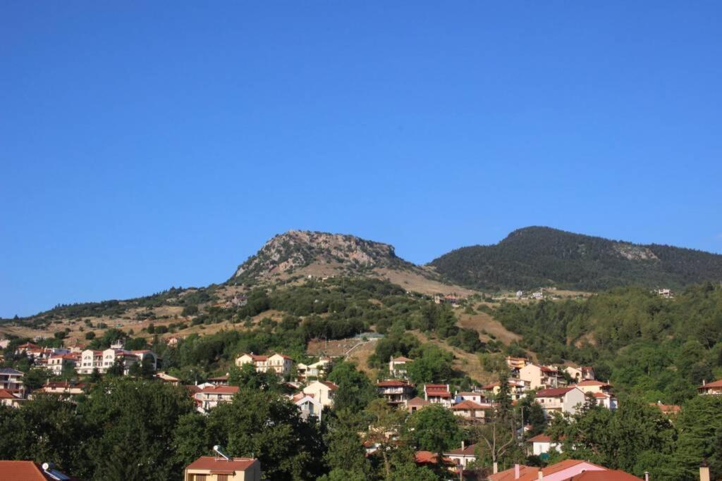 Velia Guesthouse Kalavryta Exteriör bild