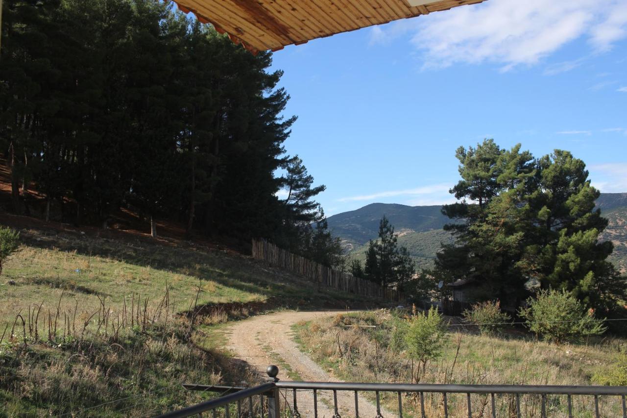 Velia Guesthouse Kalavryta Exteriör bild